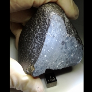 NWA 7034 meteorite water rich NASA COSMOS Science Magazine