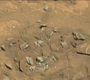 Mars-fossil-thigh-femur-bone-like-Curiosity-rover-mastcam-0719MR0030550060402769E01_DXXX-br2